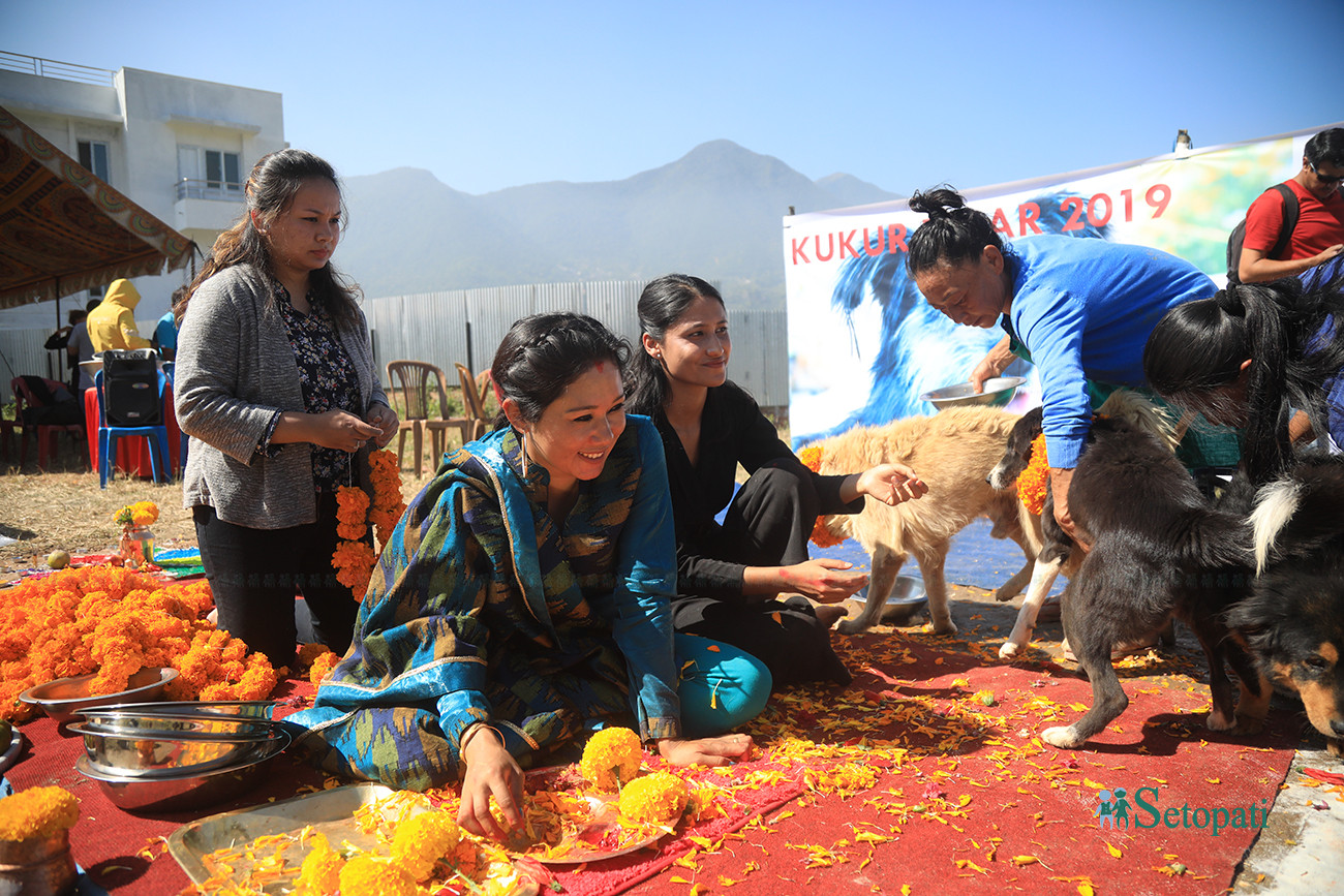 https://raracms.setopati.com/uploads/shares/2019/01/sujita/Kukur tihar  (1).jpg
